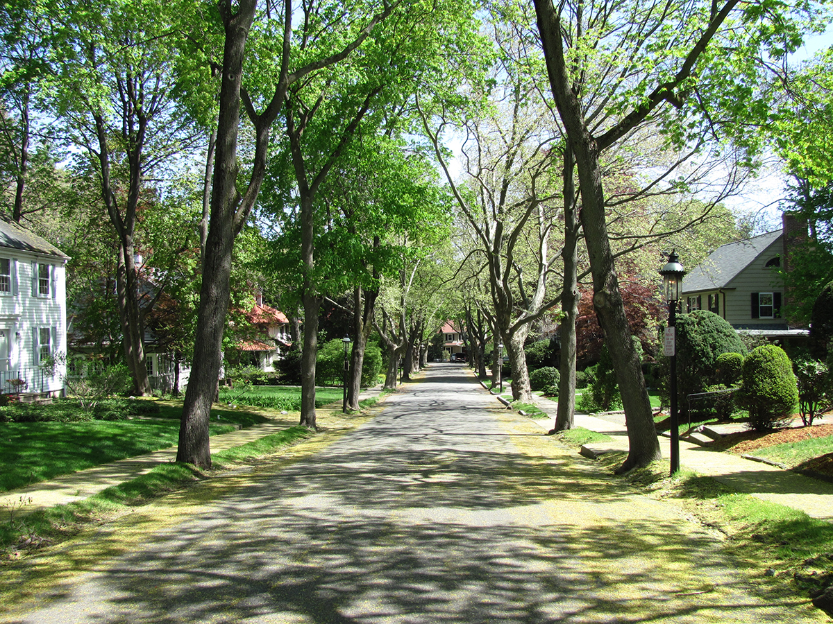 A view of a quaint neighborhood road in newton, with trees going down either side of the road.